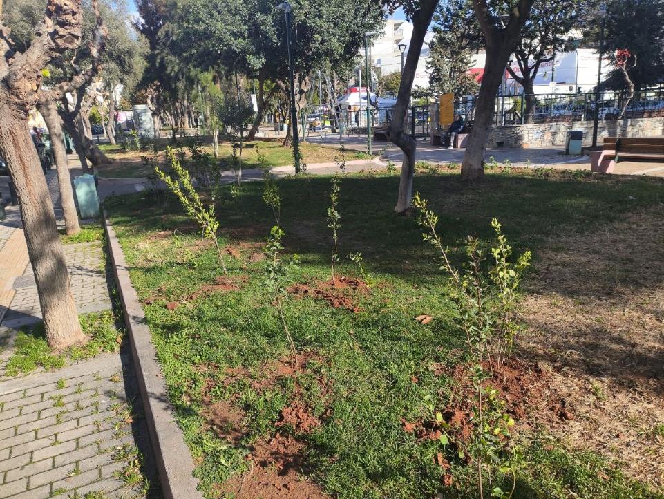 Δήμος Βύρωνα: 507 νέες φυτεύσεις στο Πάρκο Καραολή και Δημητρίου
