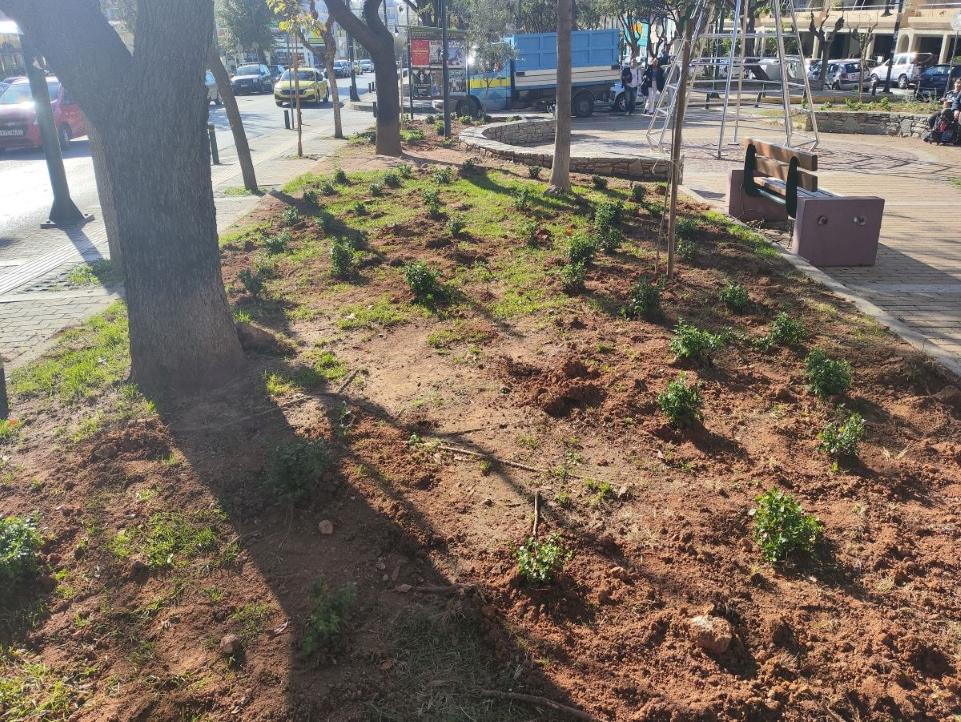 Δήμος Βύρωνα: 507 νέες φυτεύσεις στο Πάρκο Καραολή και Δημητρίου