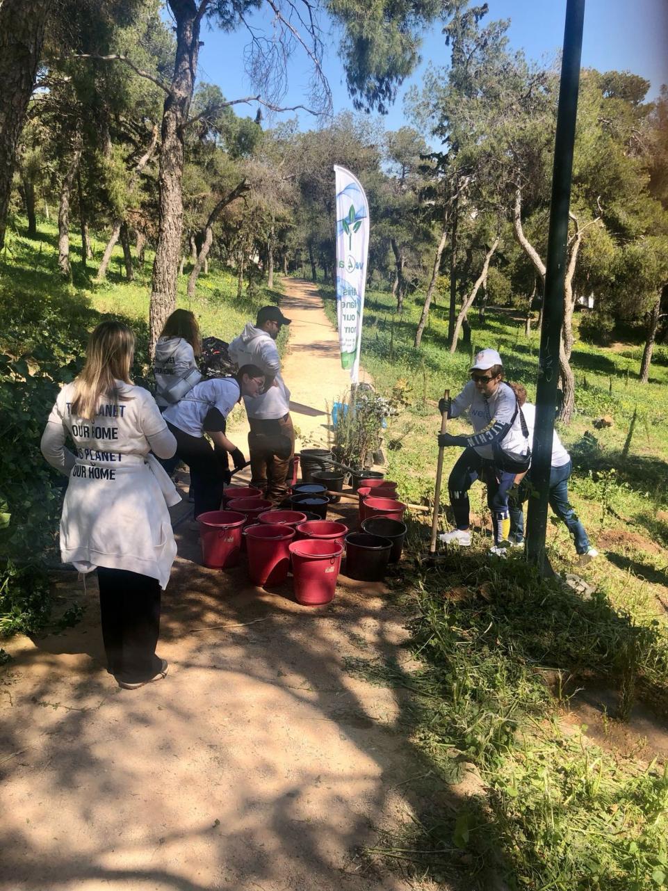 Δήμος Αθηναίων: Περισσότερα από 1.100 δέντρα φυτεύτηκαν τους πρώτους μήνες του 2025