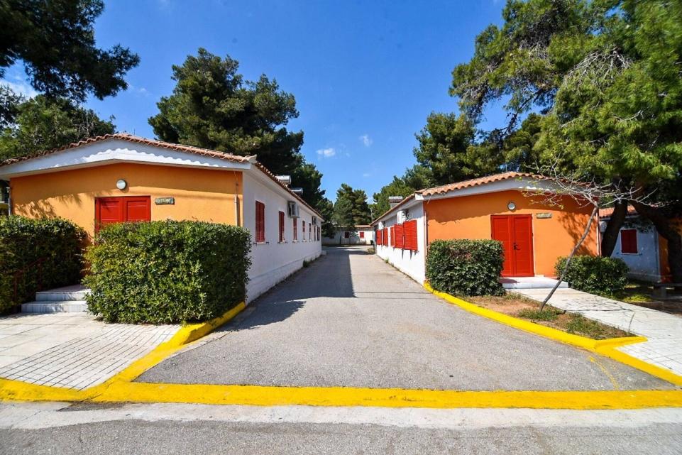 Δήμος Αθηναίων: «Καλοκαίρι όπως το ονειρεύεσαι» στις παιδικές κατασκηνώσεις του