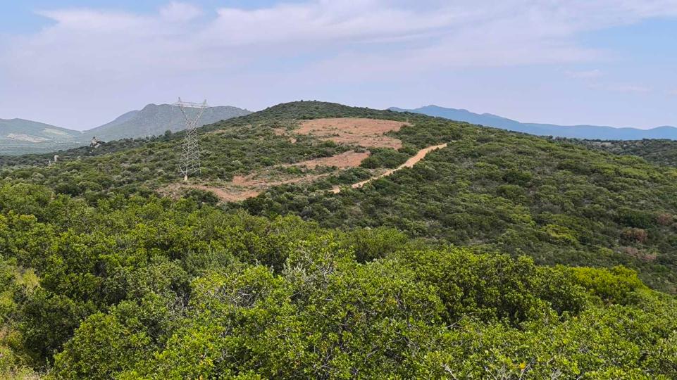 Δήμος Πολυγύρου: Προσφυγή στο ΣτΕ για το Αιολικό Πάρκο στην “Κουκουβίνα”