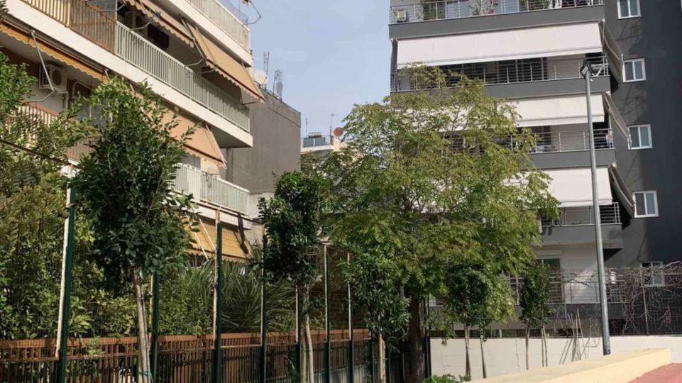 Ο Δήμος Πειραιά πρασινίζει τα σχολεία της πόλης: Νέο πρόγραμμα δενδροφύτευσης