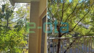 Πλατεία Βικτωρίας: Δέντρο μπαίνει στο μπαλκόνι διαμερίσματος στον 2ο - Ένοικος καταγγέλλει αδράνεια του Δήμου Αθηναίων