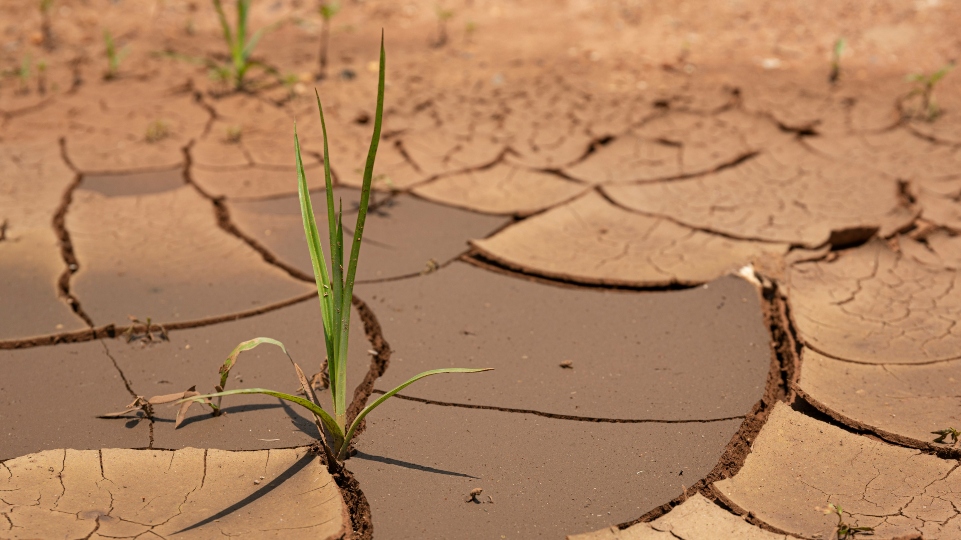 Κοινό μέτωπο Ελλάδας - Κύπρου για την αντιμετώπιση της λειψυδρίας